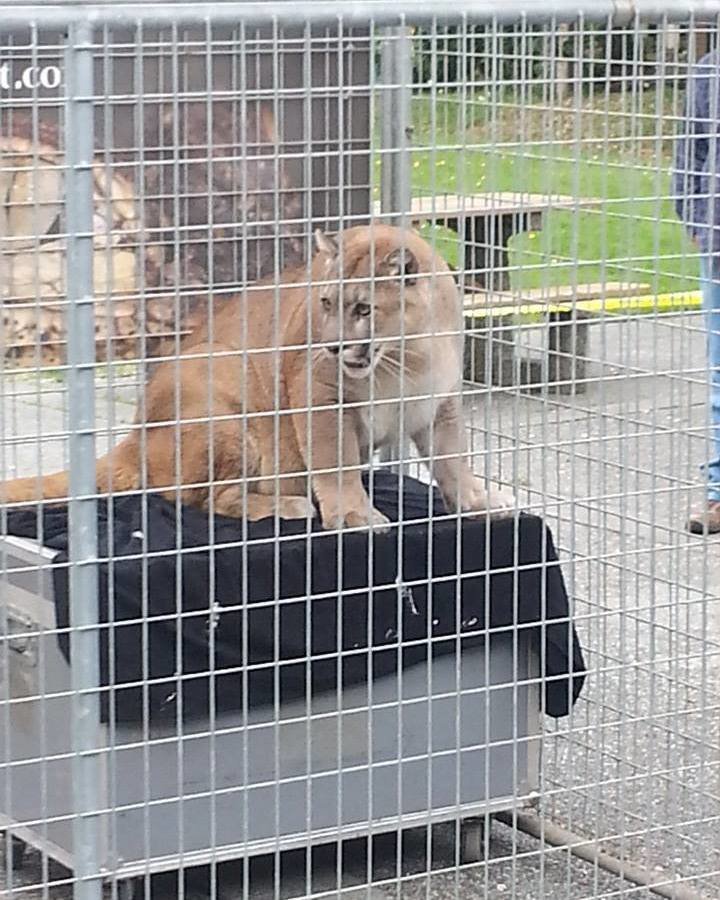 Petition · Ban Exotic Animals on Campus ·