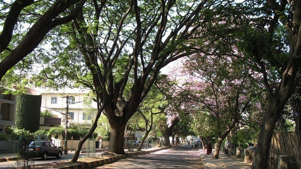 Petition · To stop this move to cut 171 trees in Indiranagar, Bangalore