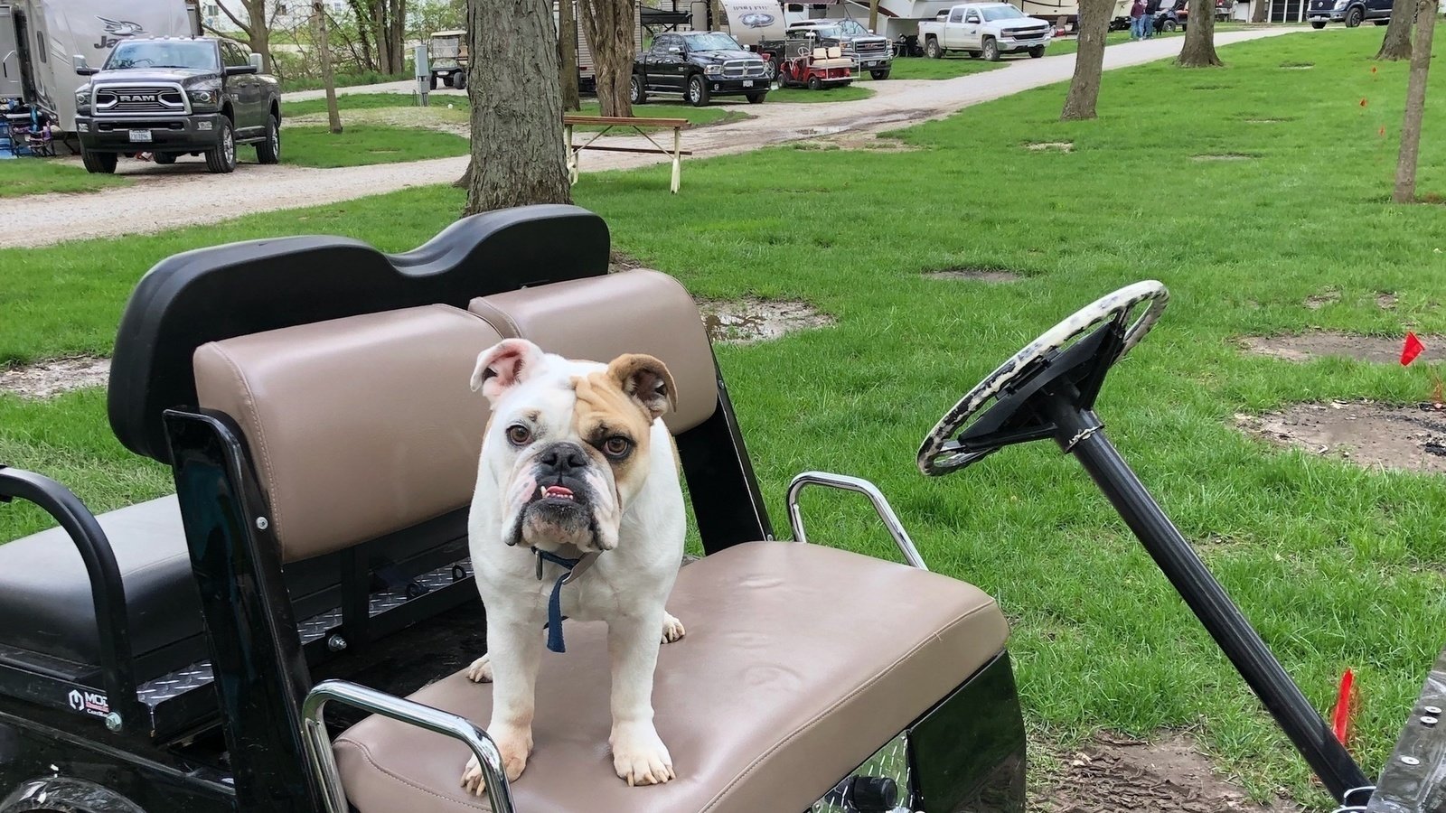 Petition · Allow golf carts on city streets in Washington IL United