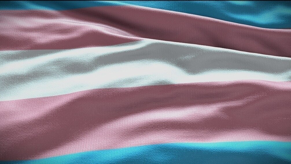 Petition · Safeguard Transgender Children's Rights to SelfIdentity and