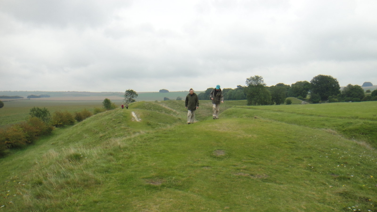 Petition · We say NO to Junction 16 warehouse over development United