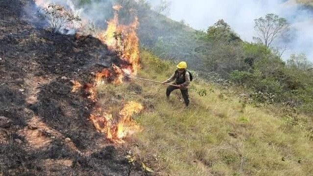 Petición · Paremos la contaminación que se está sufriendo en Bolivia ...
