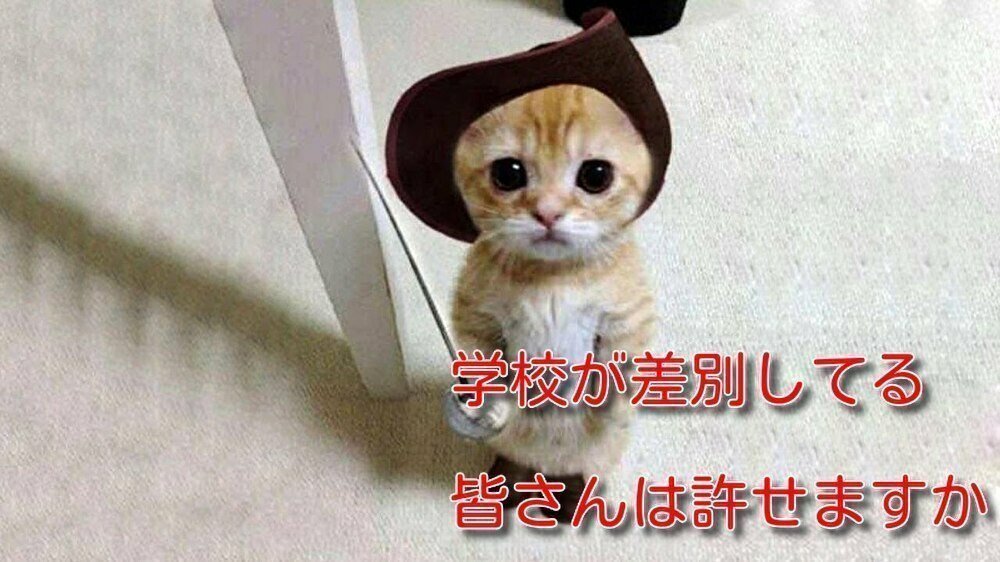 キャンペーン 宮崎県立延岡高等学校 延岡高校の校則が男女差別的です 是正してください Change Org