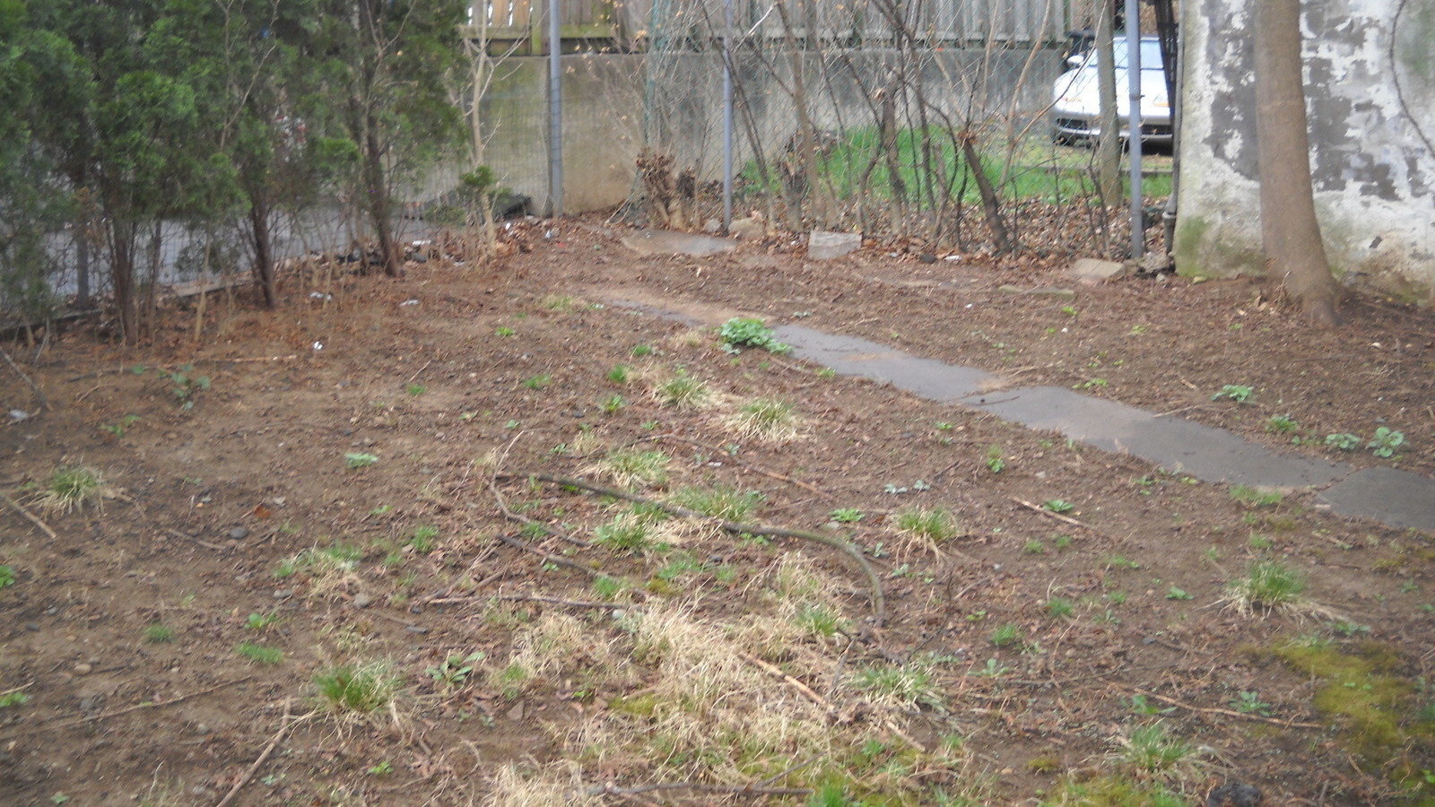 Petition · Fix His Lawn! - United States · Change.org