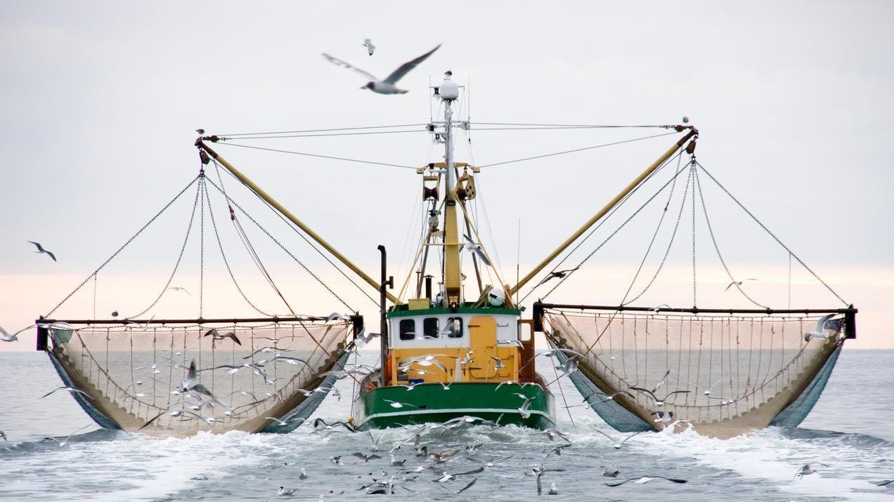 Petition · Reduce Overfishing United States ·