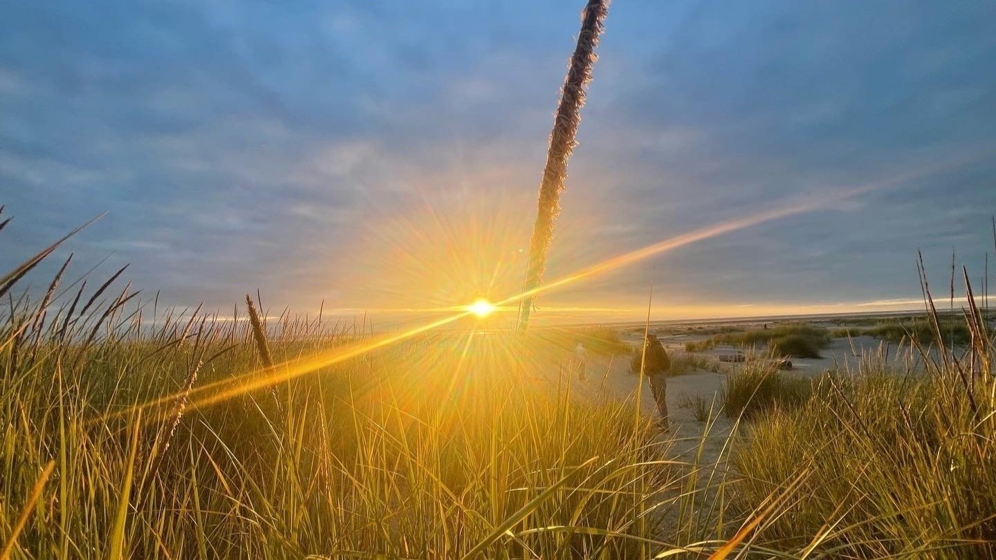 Petition · United for Change - United States · Change.org