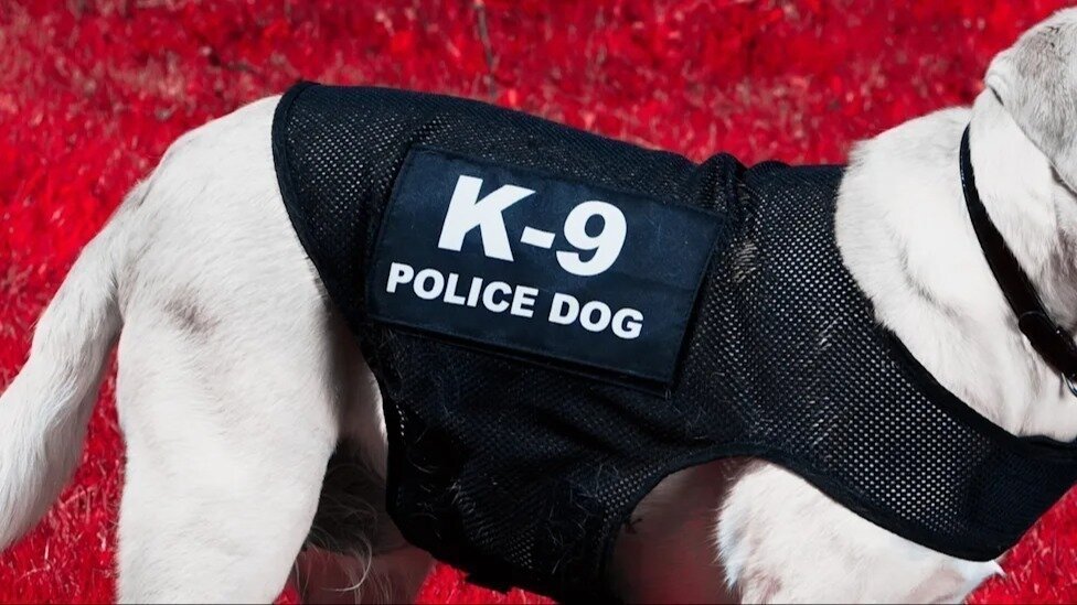 Petition · Justice for Rip and Boomer — Two Police Dogs Died on Duty in ...