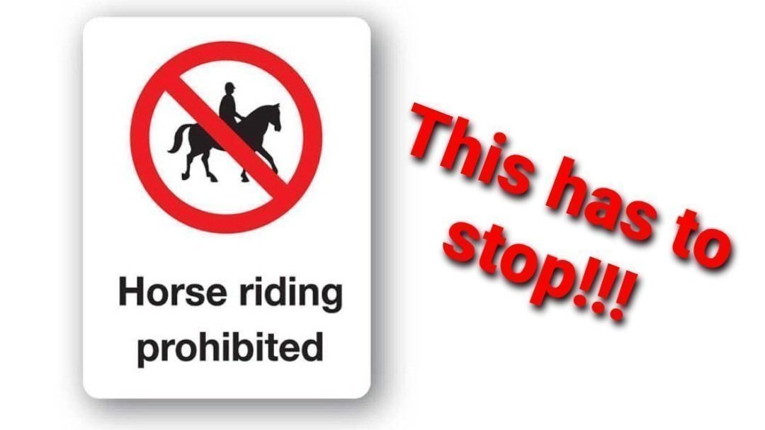 Petition Regain Access For Horses To Irish Countryside Change