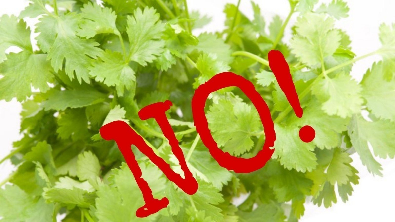 Petition · Ban coriander (aka evil herb of doom) United Kingdom
