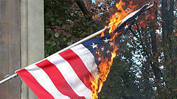 Petition · MAKE DESECRATION OF THE US FLAG ILLEGAL - United States ...