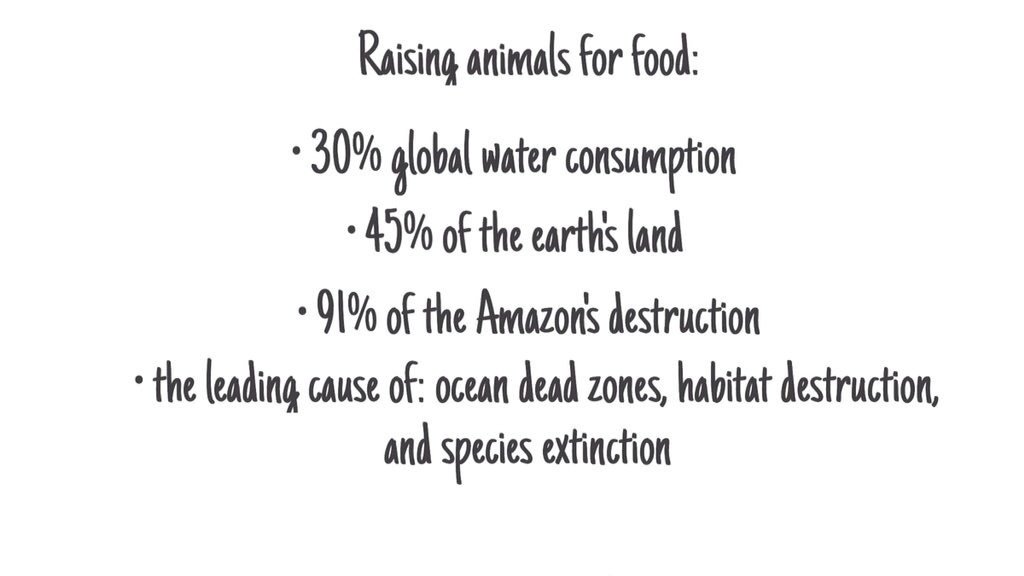 Petition · Sen. Bernie Sanders Please work to put pressure on Govt. to cut meat industry
