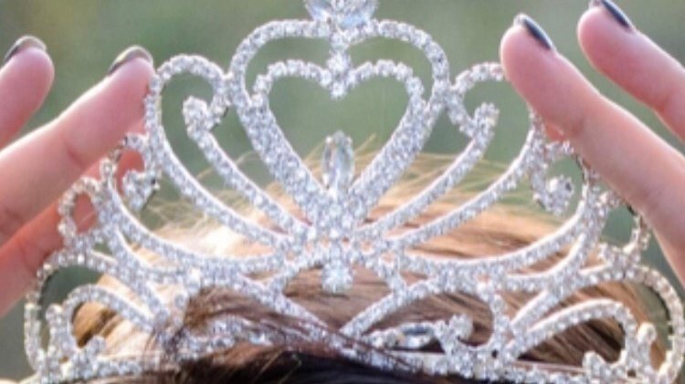 Petition · Get Disney To Create A Disabled Disney Princess - United