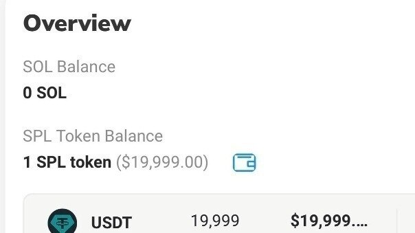 Grammar: When to Use Do, Does, and Did visual data 8