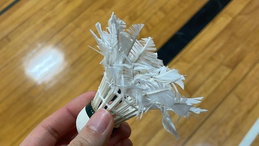 Petition · Reinstate AfterWork Badminton Games in Seattle Community