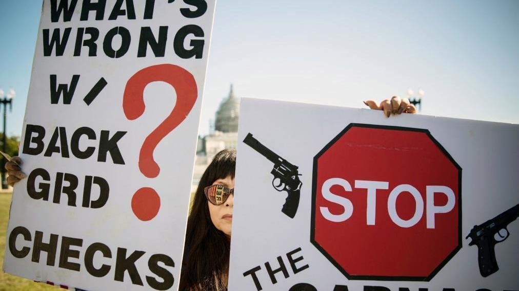 Petition · Gun Safety Education, Required Licenses, Background checks