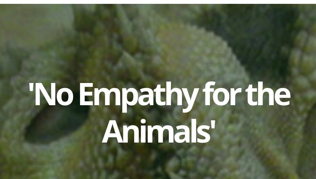 Petition · Banned pets from being sold at petsmart since they throw