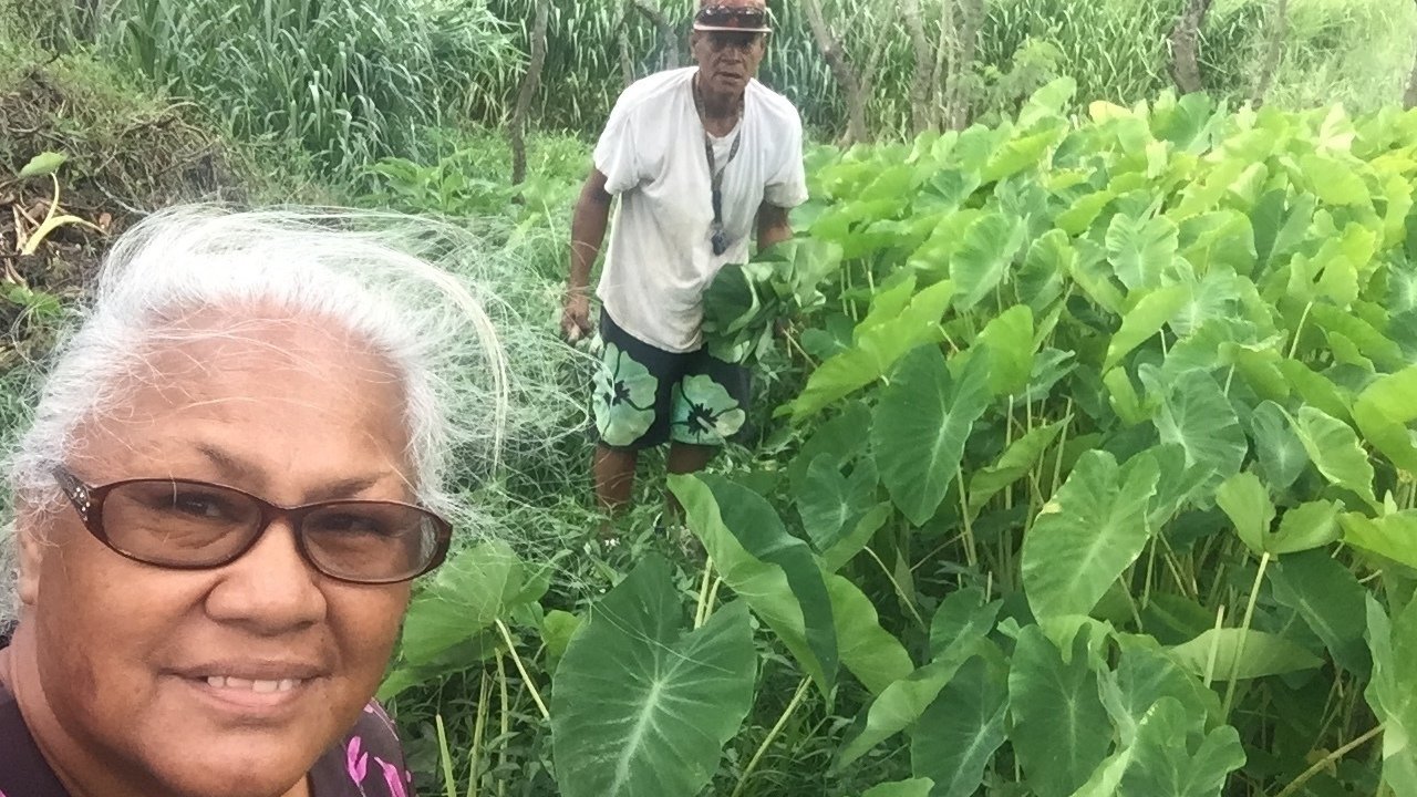 Petition · stolen land!!! Return to Molokai Ohana!!! ·