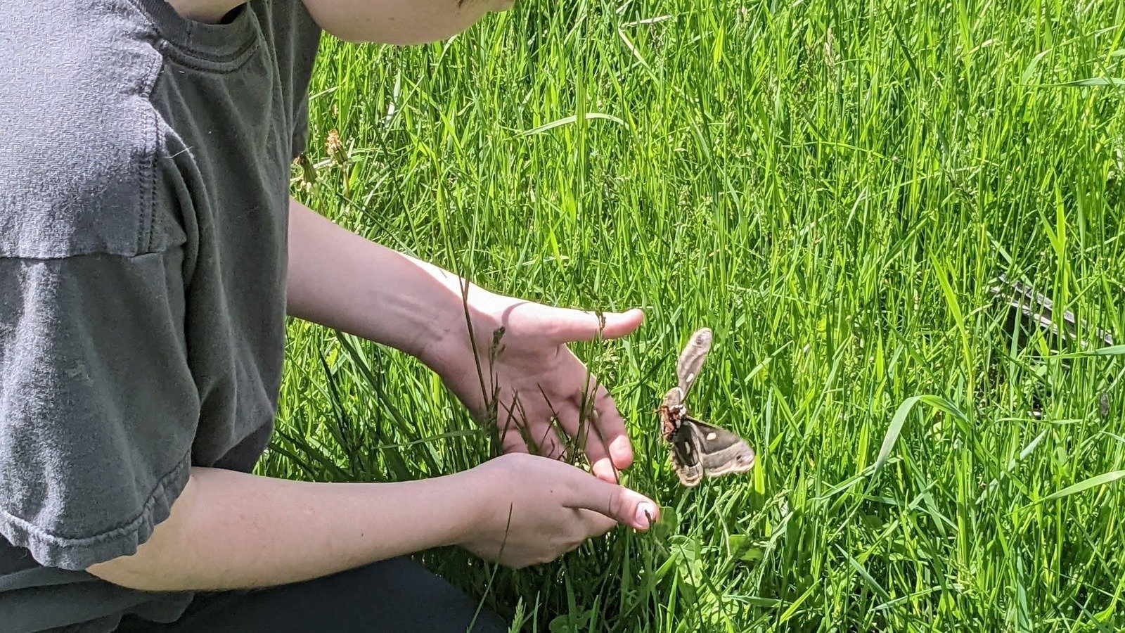 Petition · Change Amber Alert Criteria To Include Missing Autistic