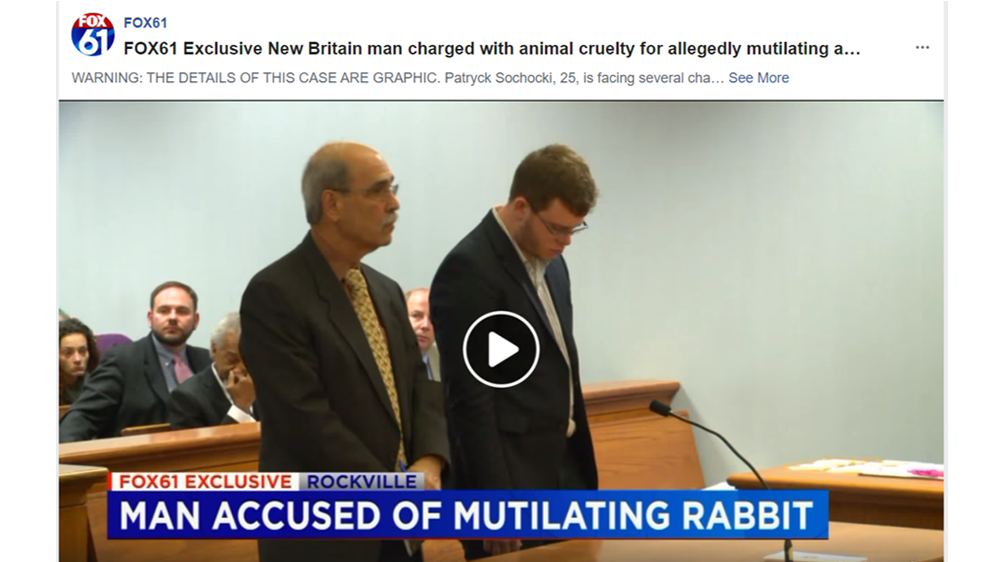 Petition · Judge James Sicilian Prosecute Malicious Rabbit Killer To