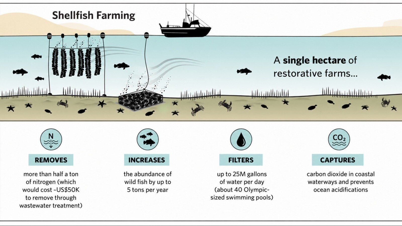 Hunted Shellfish Petition · Stop Local Moratoria on Shellfish Farming in NC's Public ...