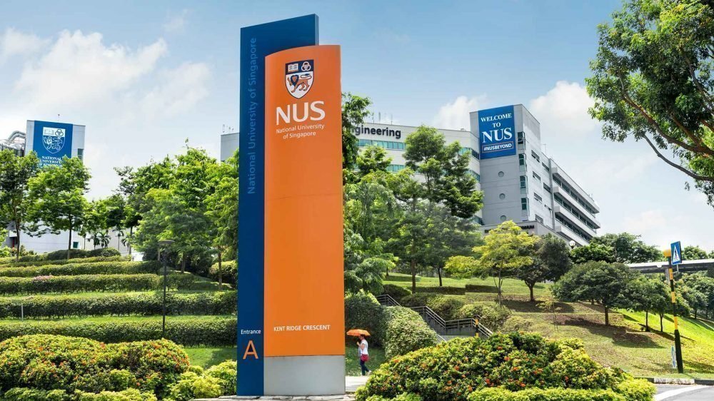 NATIONAL UNIVERSITY OF SINGAPORE NUS TUITION FEES visual data 7