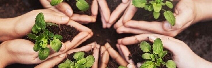 Petition · Tree conservation education: Petition for incorporating tree ...