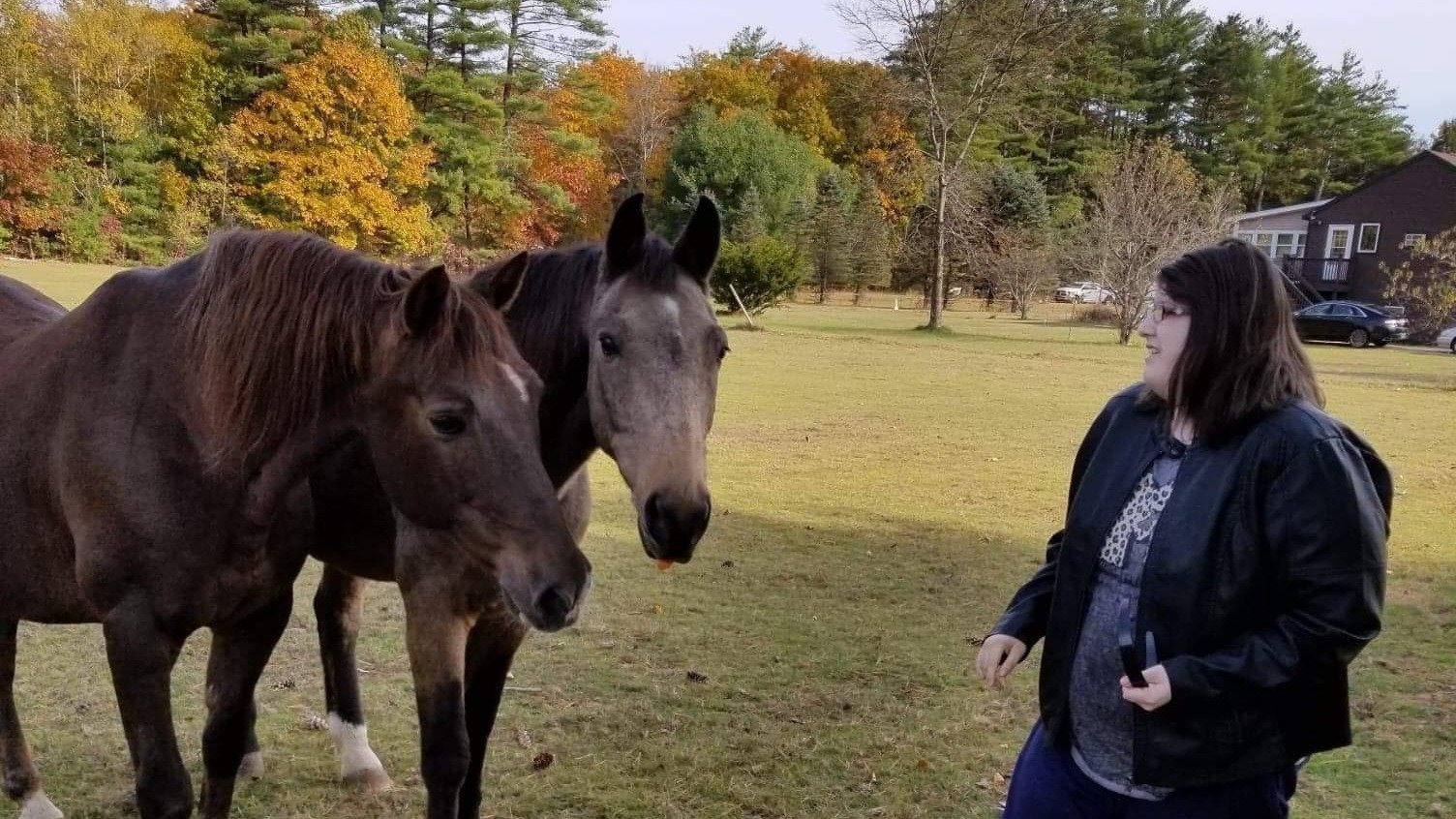 Petition · Save the wolves - United States · Change.org