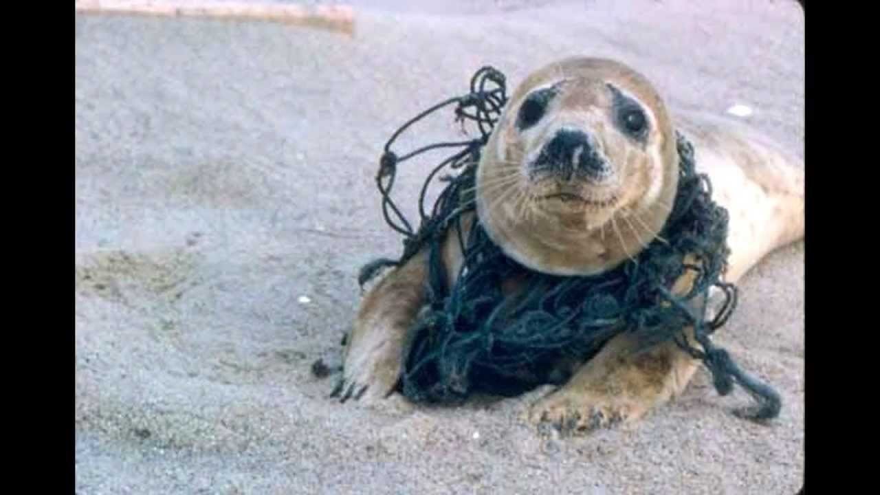 Petition Get Rid Of Plastic Utensils And Bags Change