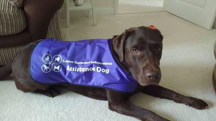 owner trained assistance dogs
