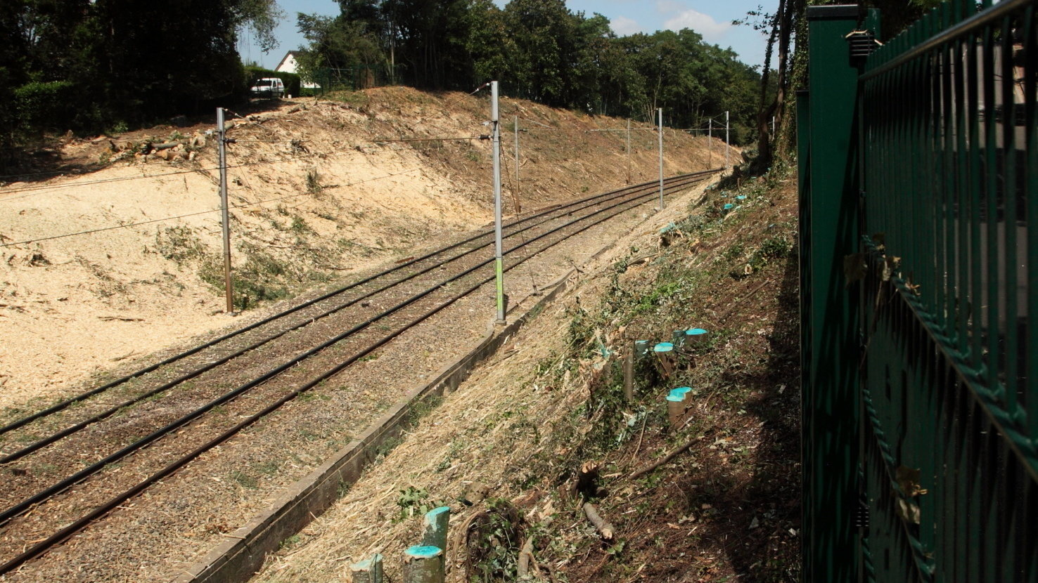 Pétition · Emprise ferroviaire à L'EtanglaVille France ·