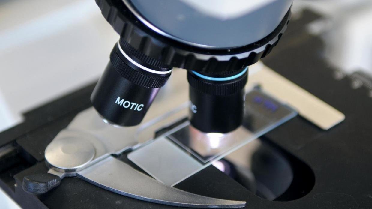 Petition · Funding of Quezon City Science High School's Laboratory