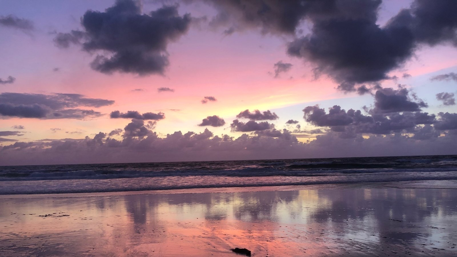 Petition · Dogs off leash Wooyung Beach Australia ·