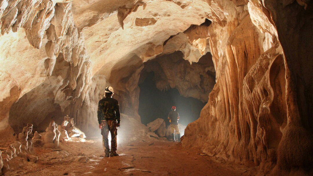 Petisi · Selamatkan Karst Sangkulirang - Mangkalihat dari kepunahan