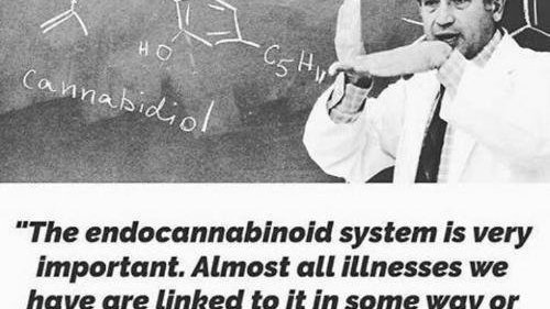 Petition · Nobel Prize for Raphael Mechoulam · Change.org