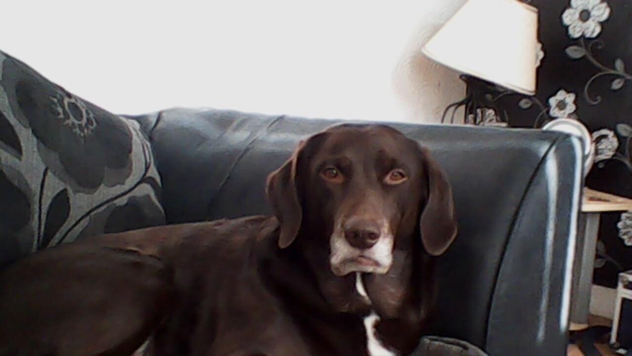 Petition · Let Fudge Home!! ·