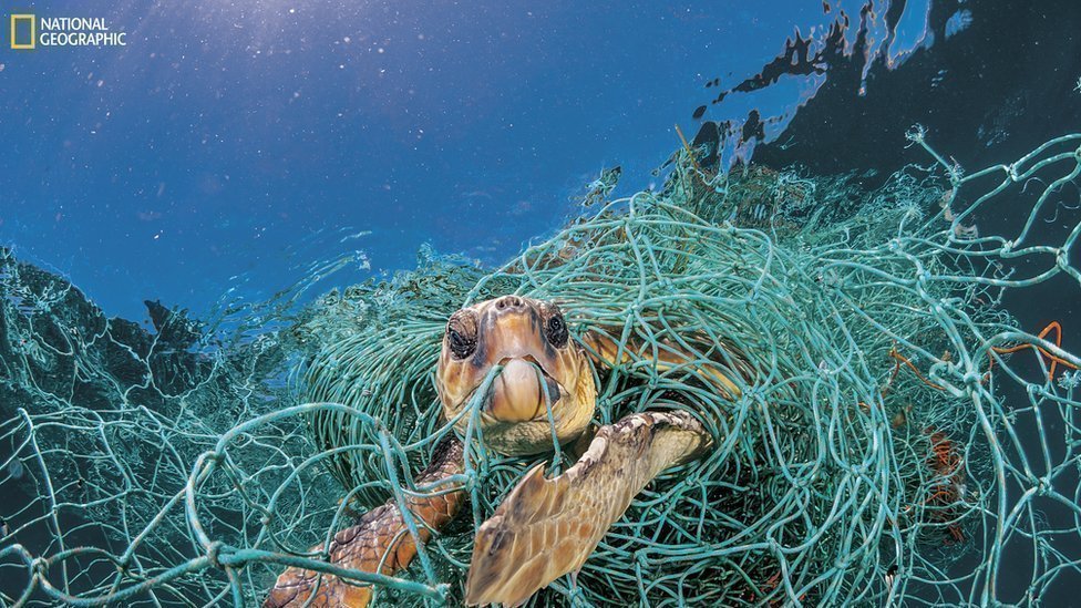 Petition Stop Ocean Pollution Change