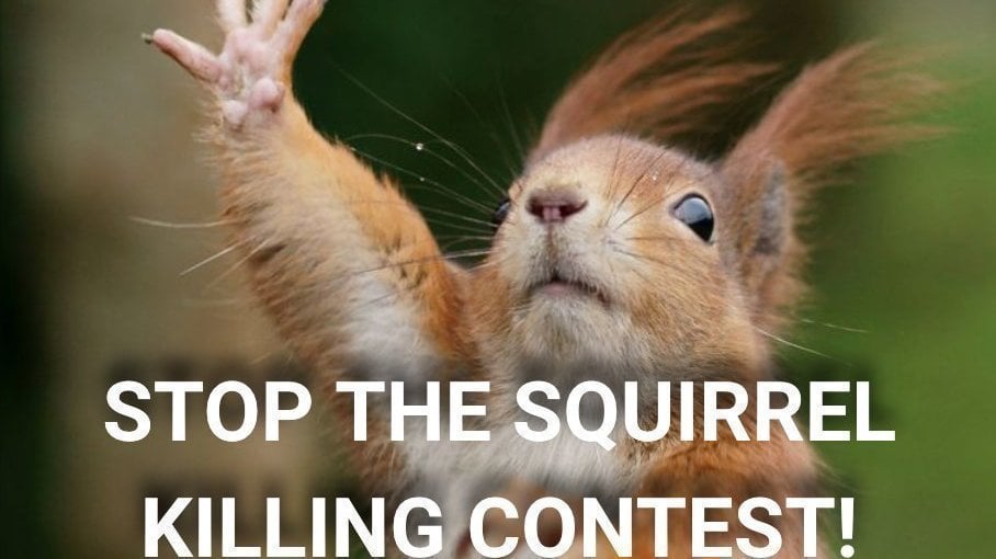 Petition · STOP the Cruel Squirrel killing contest in Germantown, NY! STOP The Squirrel Scramble! · Change.org