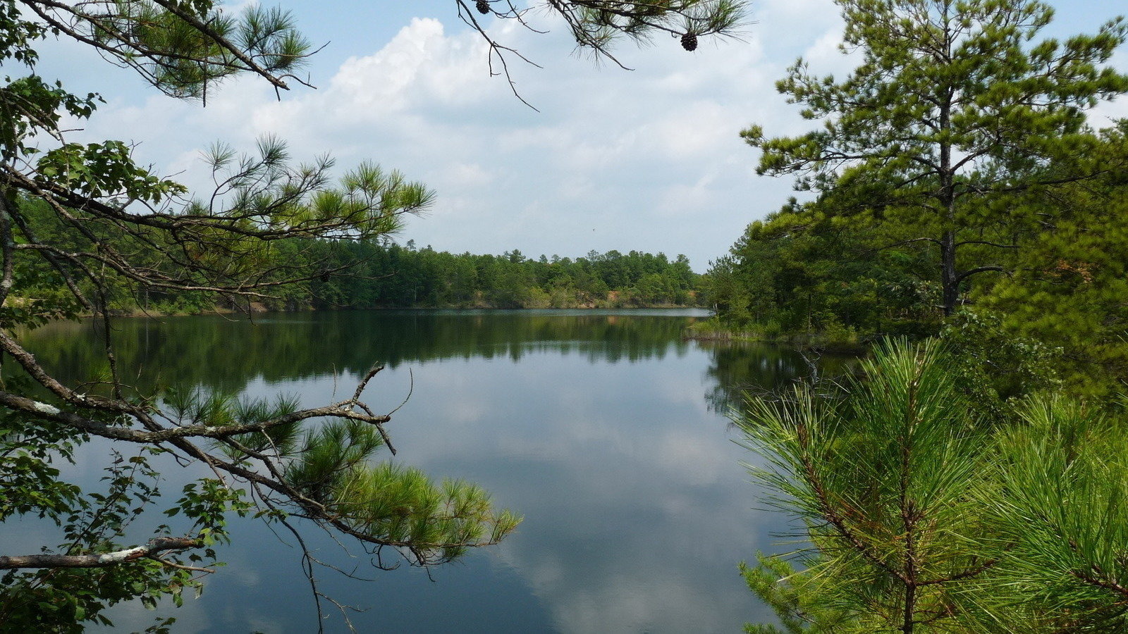 Petition · Bartow Commissioner Steve Taylor; and EPD Permanently block