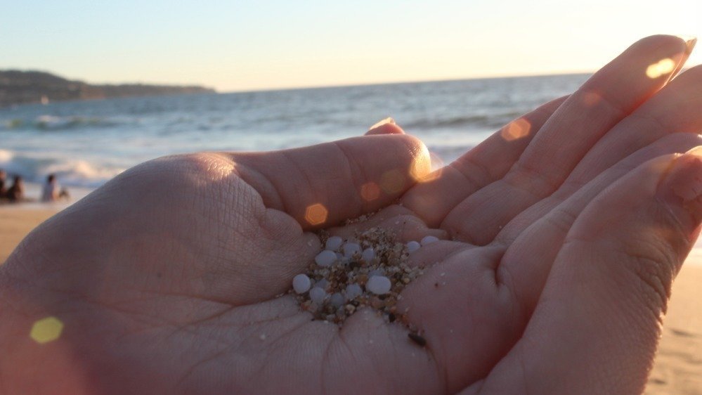 Petition · Create a pledge to use safe and environmentally friendly