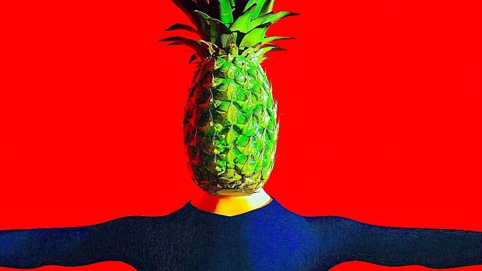 Petition · the pineapple experience United States ·