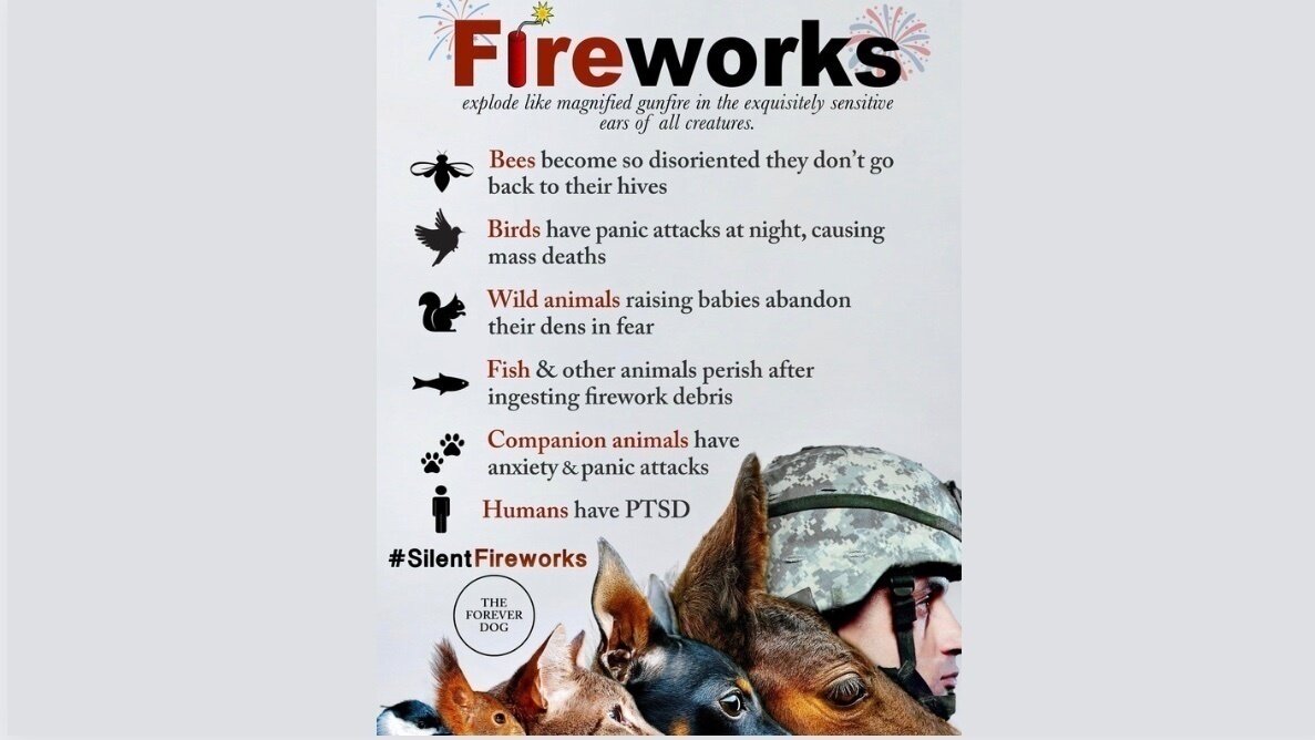Petition · Stop the Harmful Effects of Fireworks on Pets United