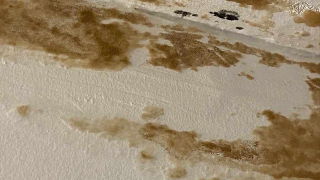 Petition · Urgent Action Needed Fix the Deplorable Conditions at Flint