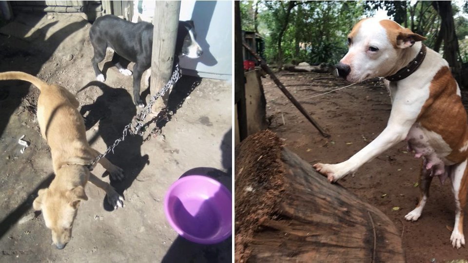 Petition · Petition to Knysna Municipality to make changes to the by