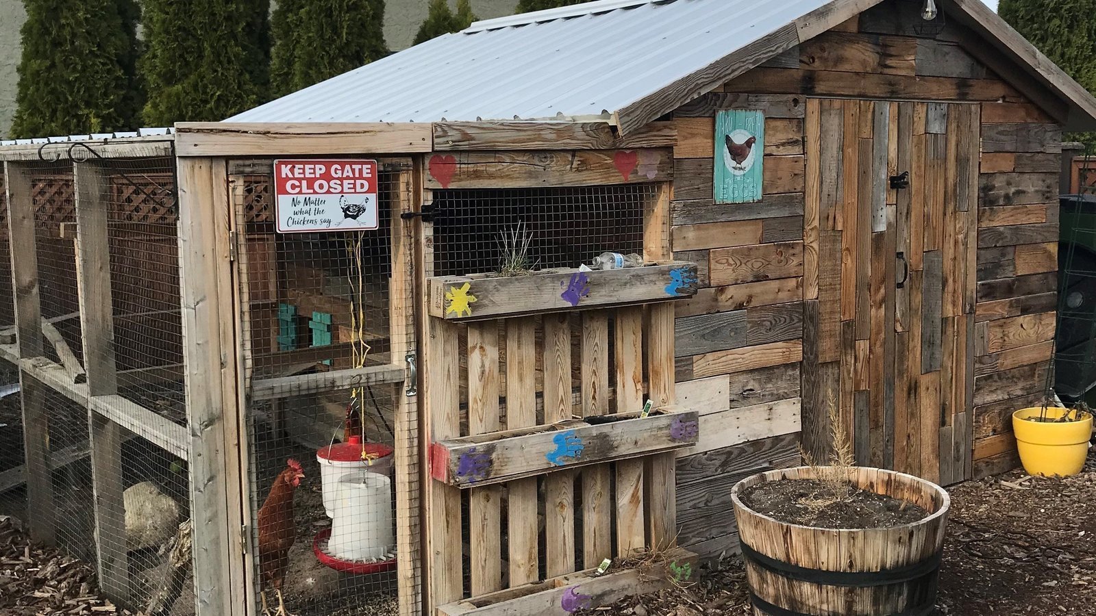 Petition · Kelowna, don't be a chicken and change the bylaw to allow