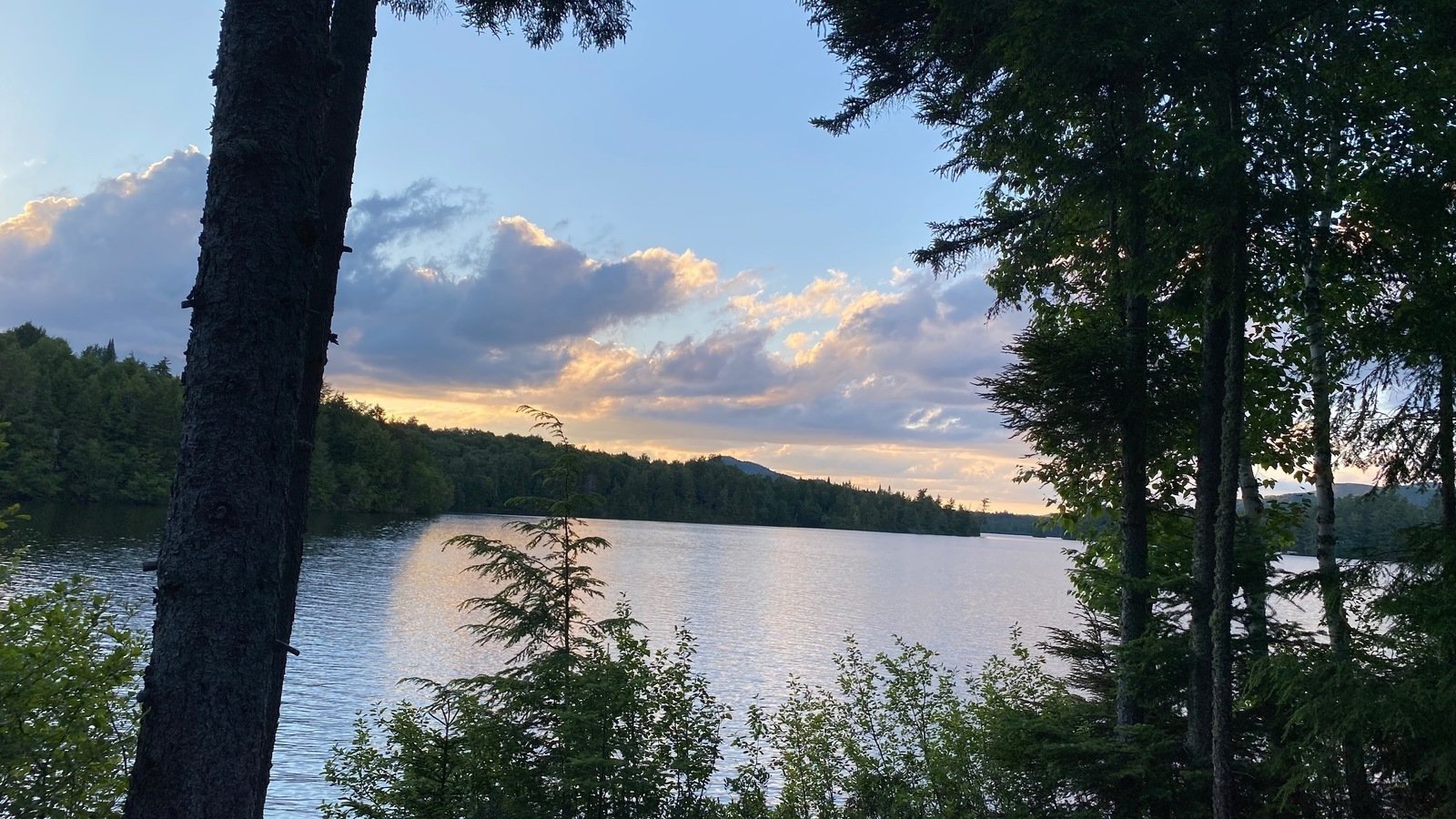 Petition · Reduce Loon Lake Speed Limit to 20 MPH · Change.org