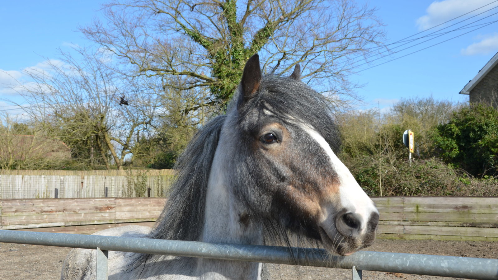 Petition · Save Our Riding Schools United Kingdom ·