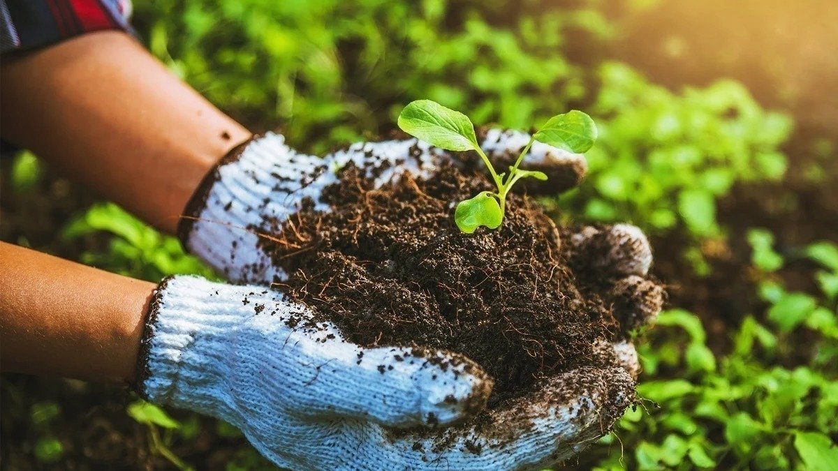 Petition · Make Composting Services Free in Denver, Colorado ·