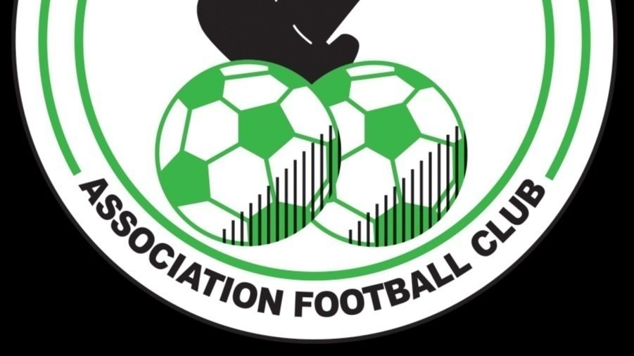 Petition · Player equity at Western Springs Football Club. ·