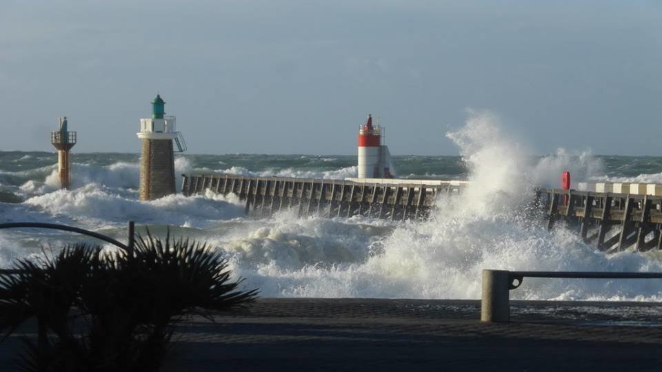 Pétition · LES TAMALOUS EN ONT MARRE France ·