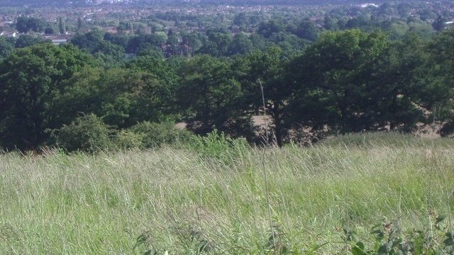 Harrow View Point Petition · Stop Closure Of Harrow View Point Car Park - Harrow, United ...